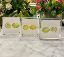 Load image into Gallery viewer, Lemon &amp; Lime series
